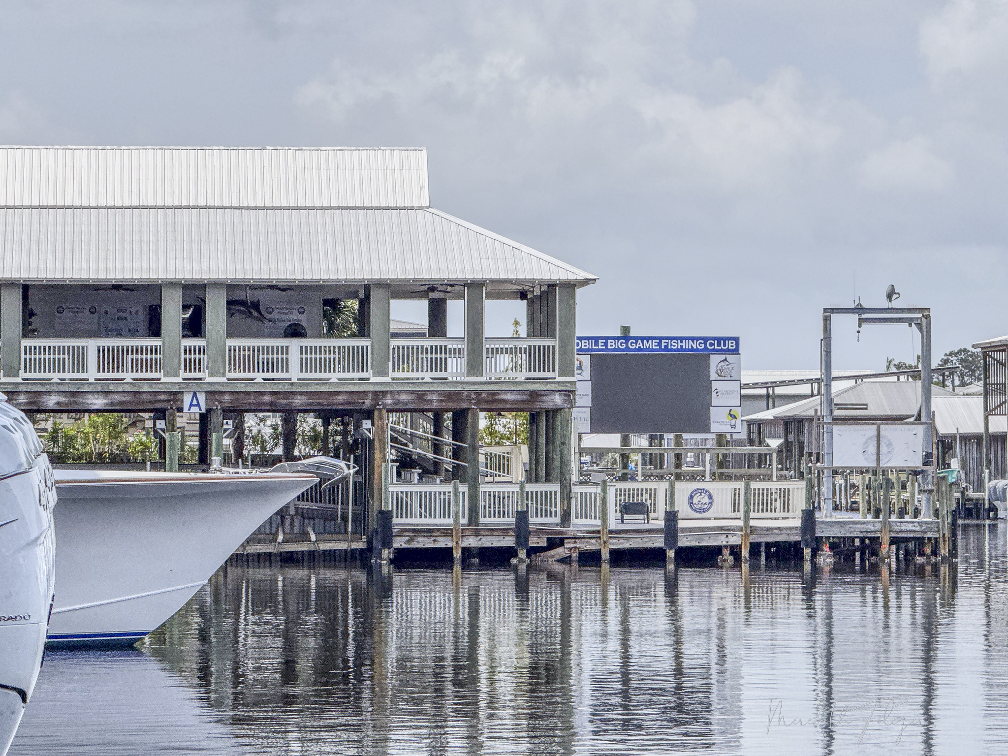 Orange Beach Marina Mobile Big Game Fishing Club
